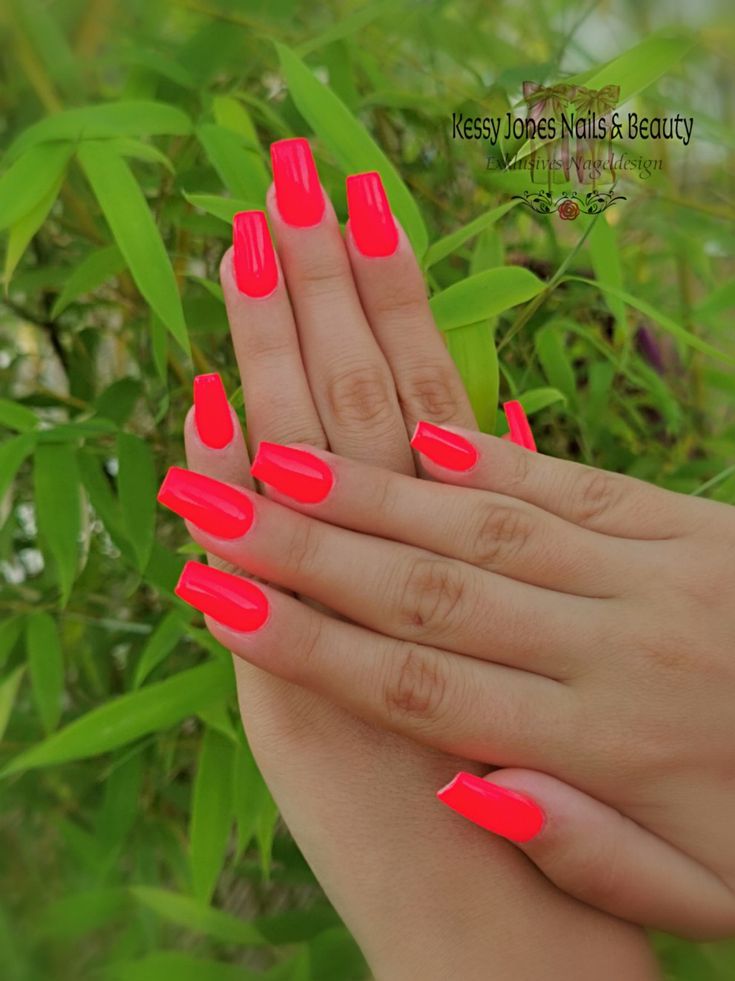 Bright Coral