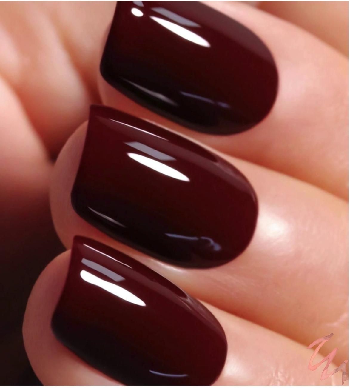 Deep Burgundy