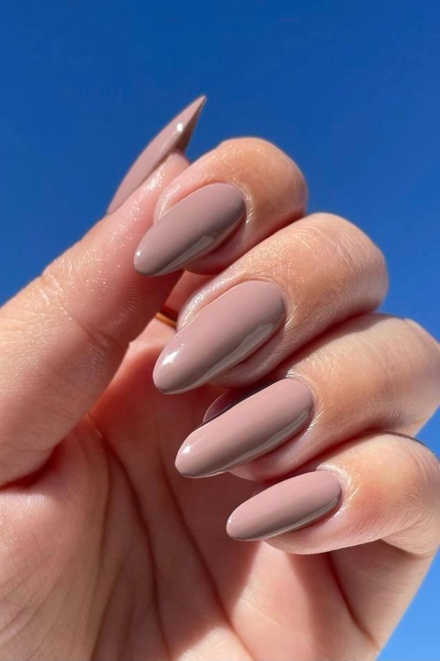 Elegant Taupe