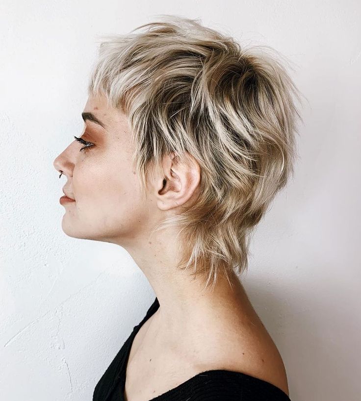 Modern Pixie Shag