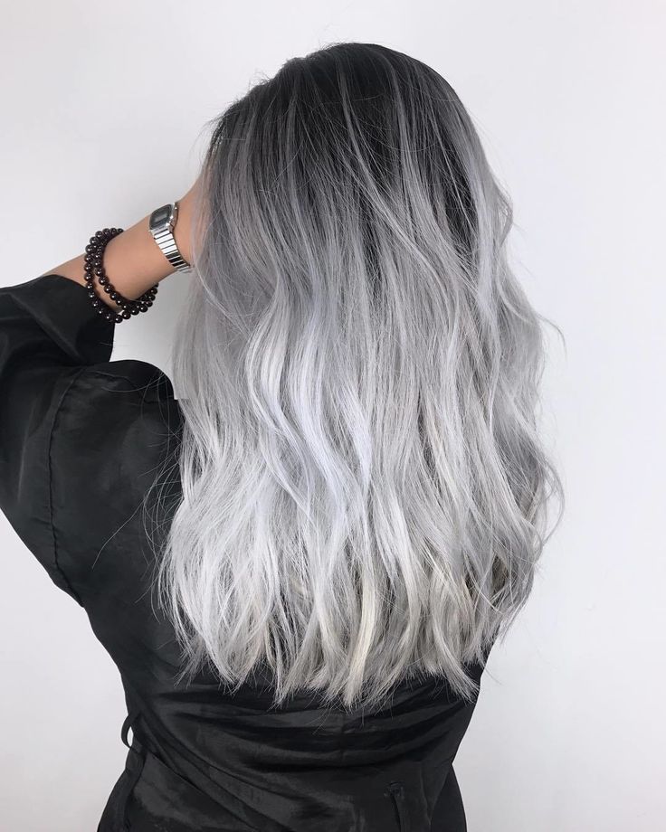 Silver Fox Ombre