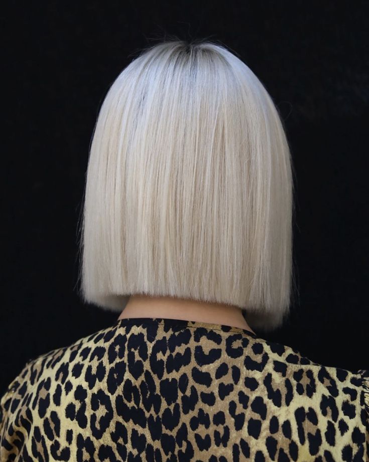 Sleek Blunt Bob with Shine